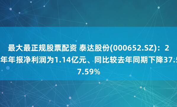 最大最正规股票配资 泰达股份(000652.SZ)：2024年年报净利润为1.14亿元、同比较去年同期下降37.59%