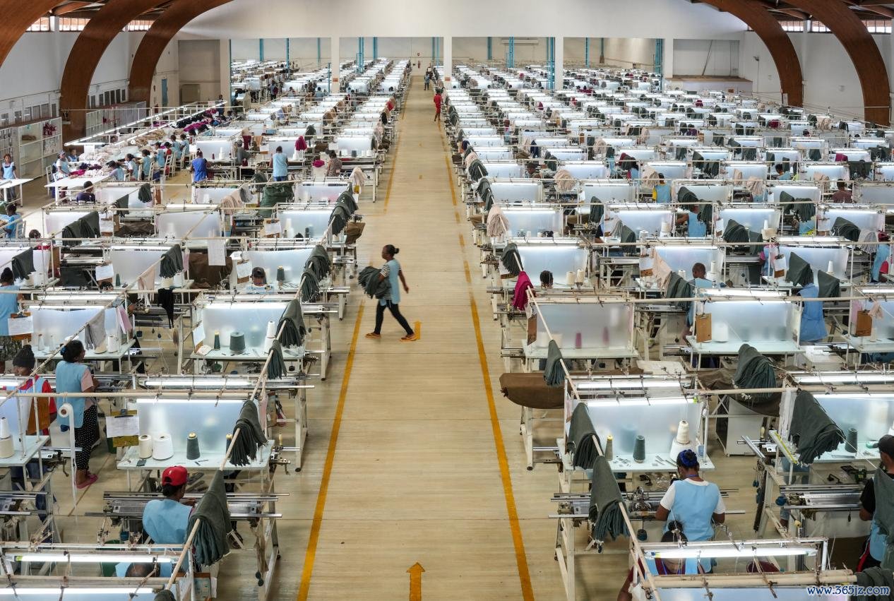 8987398e680d4bb4bee62c4c10bfa3f3.jpeg 8987398e680d4bb4bee62c4c10bfa3f3.jpeg