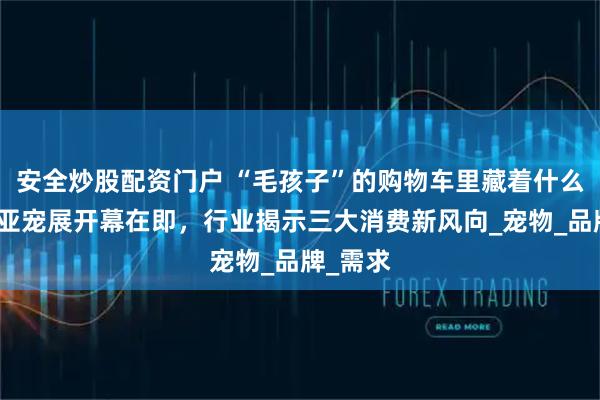 安全炒股配资门户 “毛孩子”的购物车里藏着什么秘密？亚宠展开幕在即，行业揭示三大消费新风向_宠物_品牌_需求